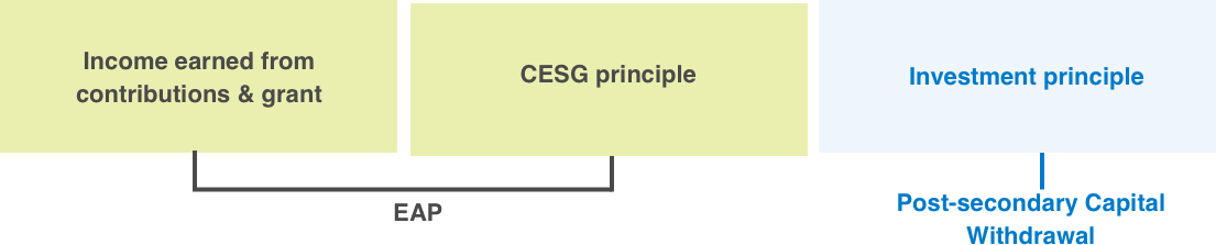 RESP Total Account Value RESP Total Account Value